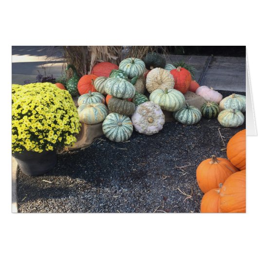 Colorful Pumpkins Cards (Front Horizontal)