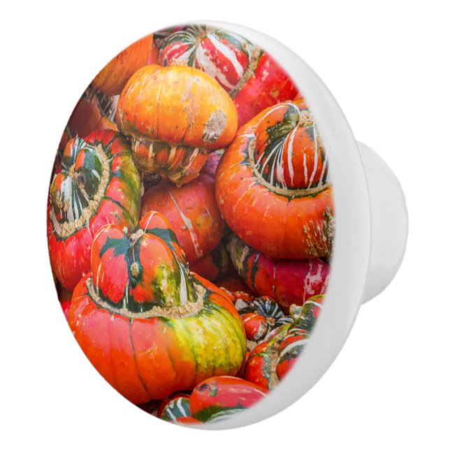 Colorful pumpkins ceramic knob (Right)