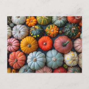 Colorful Pumpkins Gourds and Squash Postcard