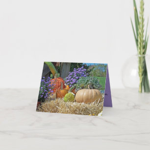 Colorful Pumpkins Gourds Flowers Hay Customized Card