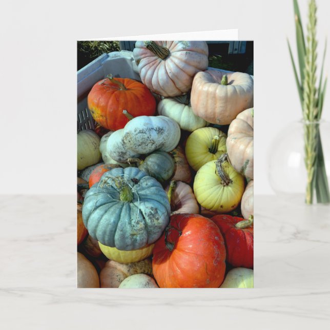Colorful pumpkins greeting card (Front)