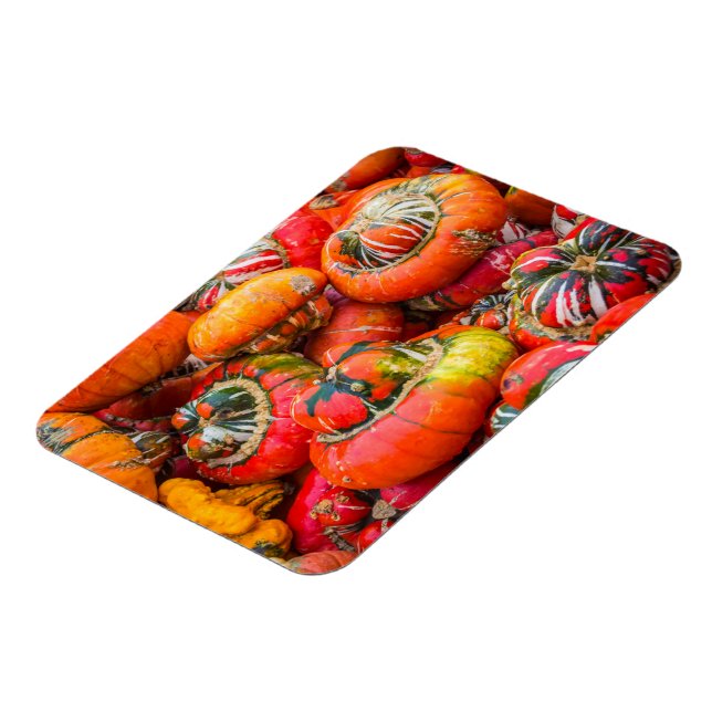 Colorful pumpkins magnet (Left Side)
