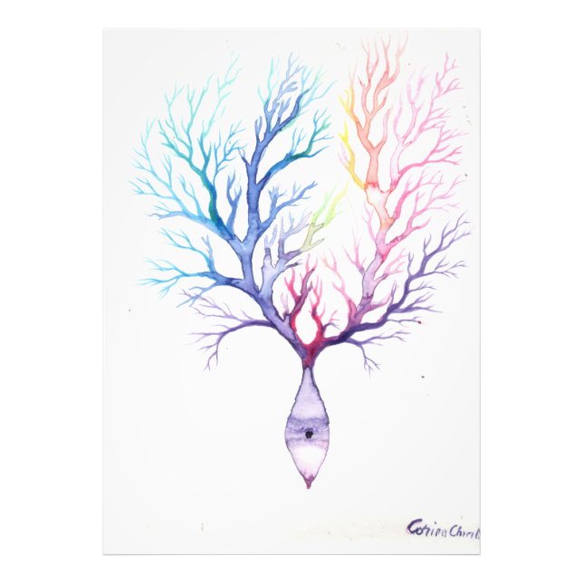 Colorful Purkinke neuron Photo Print (Front)