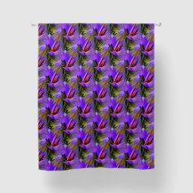 Colorful Purple Colors Abstract