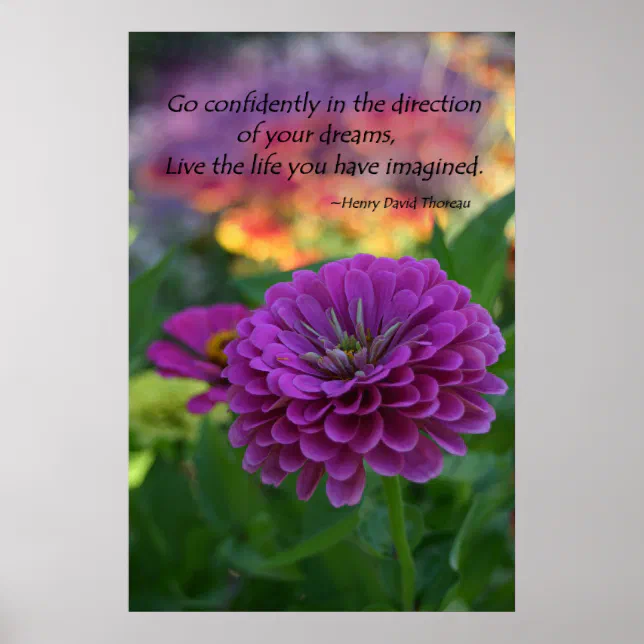 Colorful Purple zinnia flower inspirational quote Poster | Zazzle