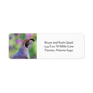 Colorful Quail Label