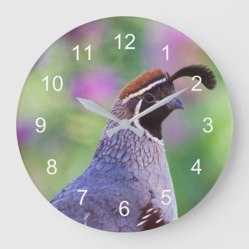 Colorful Quail Large Clock