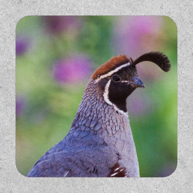 Colorful Quail Patch (Front)