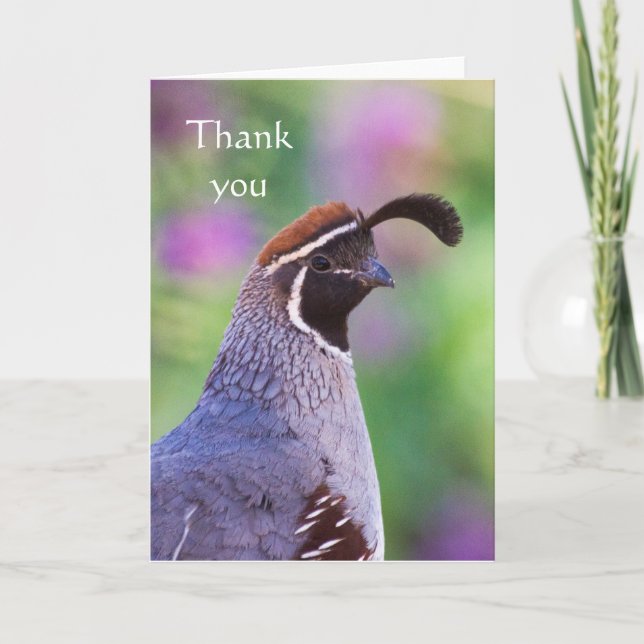 Colorful Quail, Thank you Card (Front)