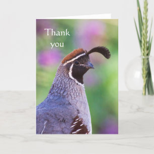 Colorful Quail, Thank you Card