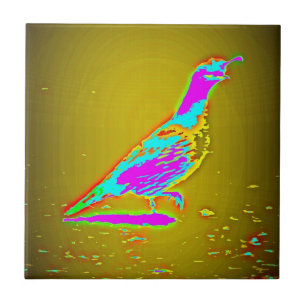 colorful quail tile