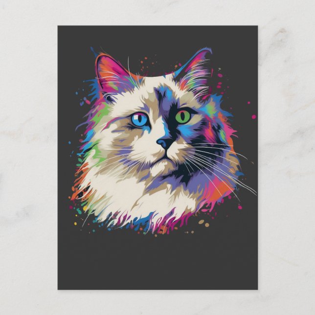 Colorful Ragdoll cat Postcard (Front)