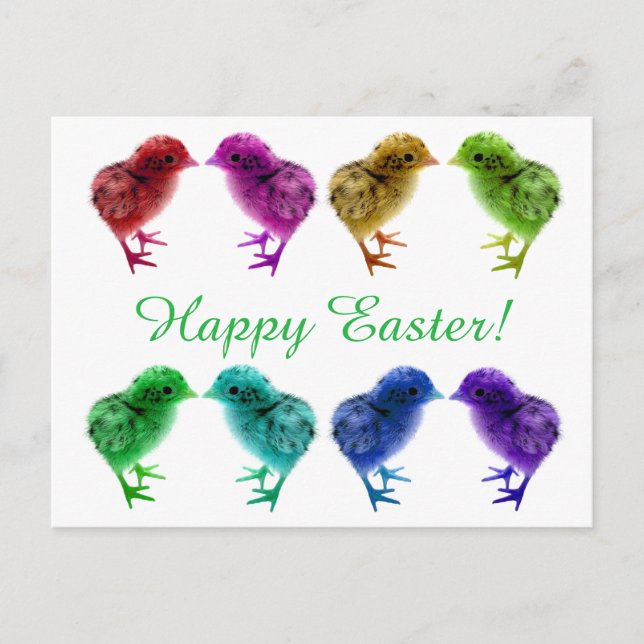 Colorful, Rainbow Chicks Postcard (Front)