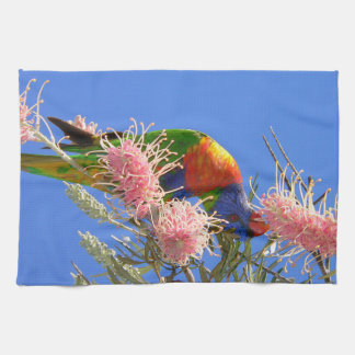 Colorful Rainbow Lorikeet Bird Eating Nectar Kitchen Towel