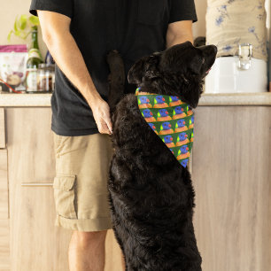 Colorful Rainbow Lorikeet Parrot Pattern Bandana
