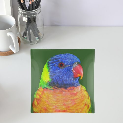 Colorful Rainbow Lorikeet Parrot Trinket Tray