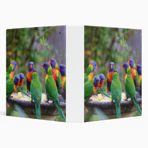 Colorful Rainbow Lorikeet Parrots Eating 3 Ring Binder