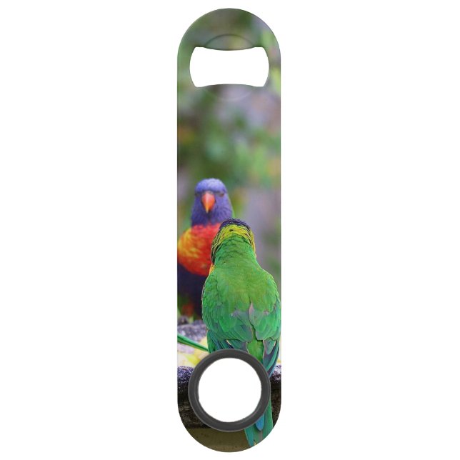 Colorful Rainbow Lorikeet Parrots Eating Bar Key (Front)
