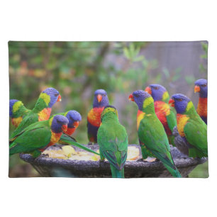 Colorful Rainbow Lorikeet Parrots Eating Cloth Placemat