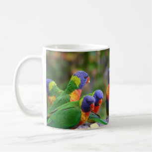 Colorful Rainbow Lorikeet Parrots Eating Coffee Mug