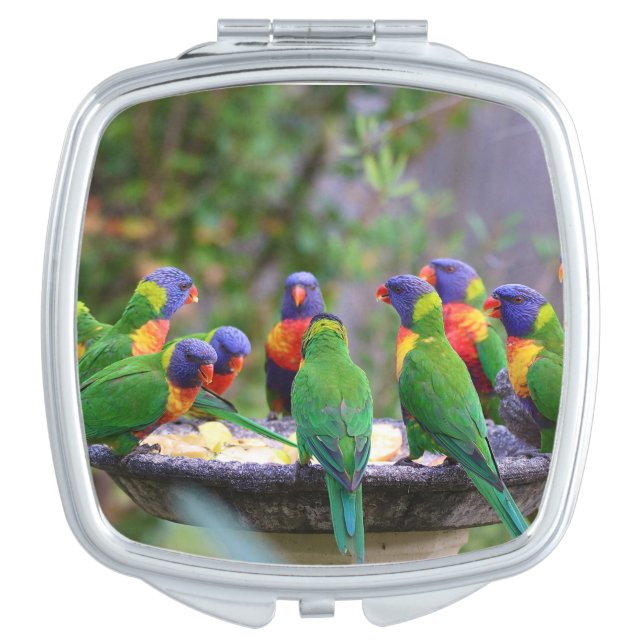 Colorful Rainbow Lorikeet Parrots Eating Compact Mirror (Front)
