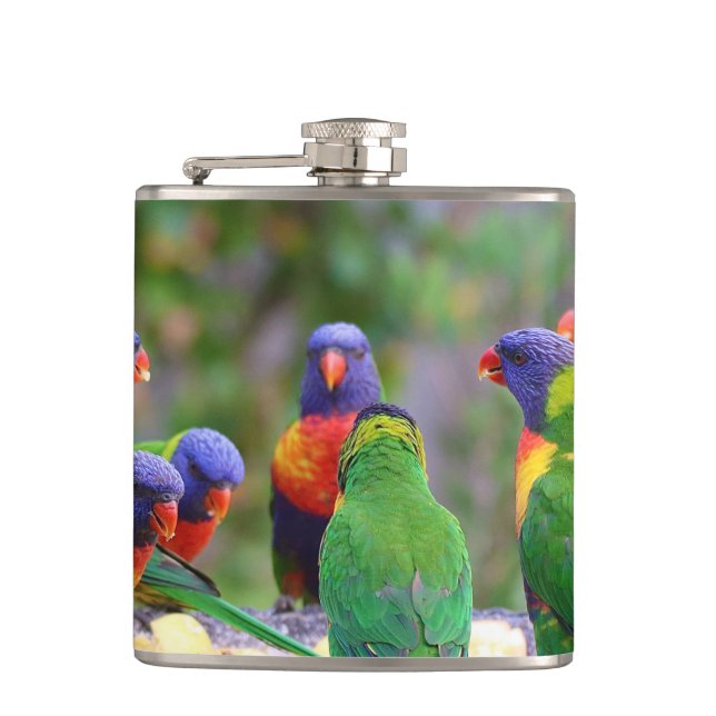 Colorful Rainbow Lorikeet Parrots Eating Flask (Front)