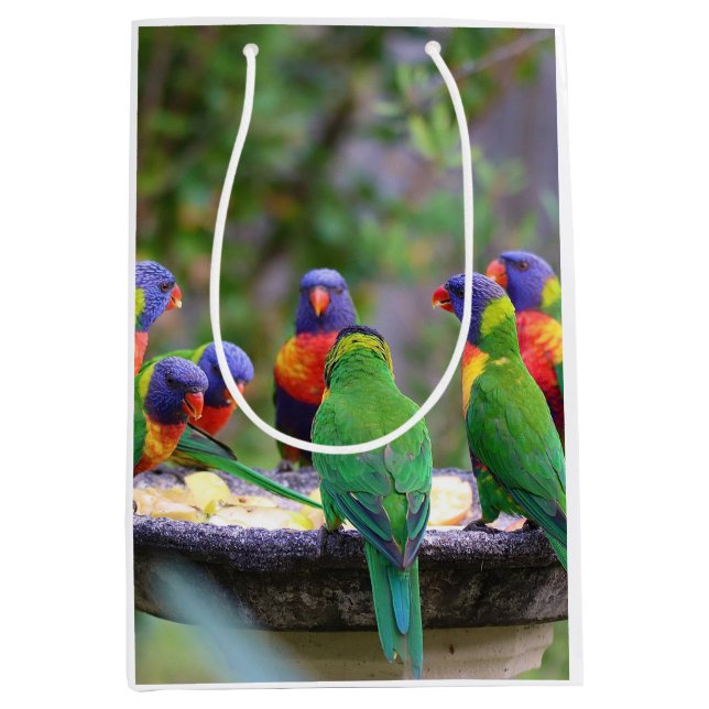 Colorful Rainbow Lorikeet Parrots Eating Medium Gift Bag (Front)