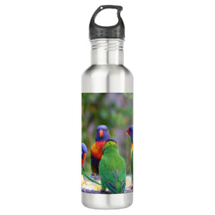 Colorful Rainbow Lorikeet Parrots Eating Stainless Steel Water Bottle