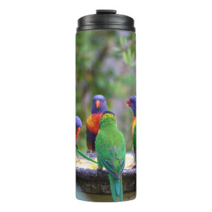 Colorful Rainbow Lorikeet Parrots Eating Thermal Tumbler