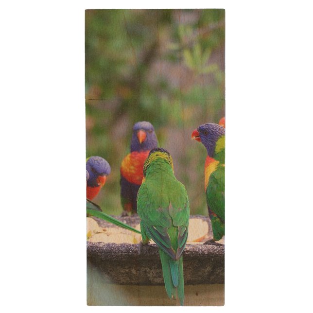 Colorful Rainbow Lorikeet Parrots Eating Wood Flash Drive (Front Vertical)