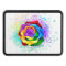 Colorful Rainbow Rose