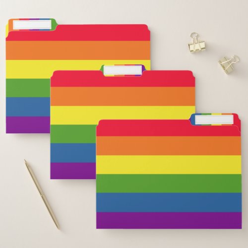 Colorful Rainbow Stripes File Folder