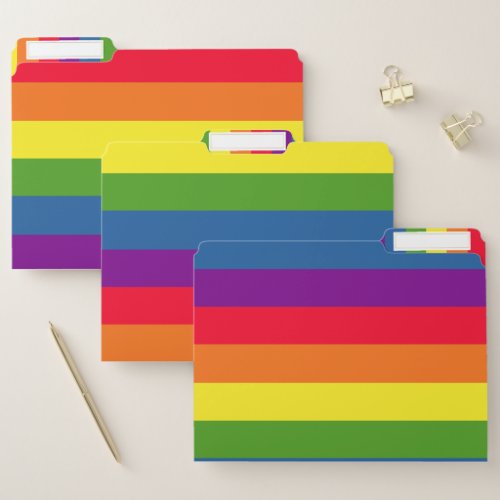 Colorful Rainbow Stripes v2 File Folder