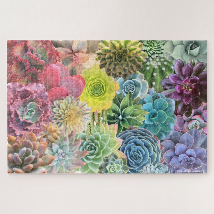 Colorful Rainbow Succulent Puzzle | Zazzle