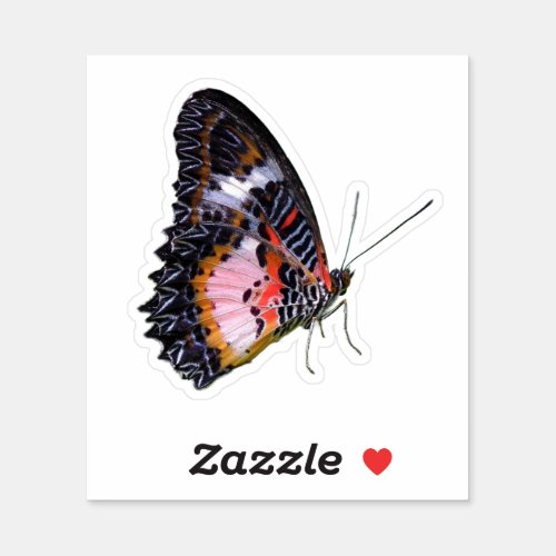 Colorful Rainforest Butterfly Sticker