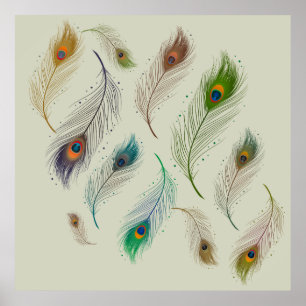 Colorful Realistic Peacock Bird Feathers Poster