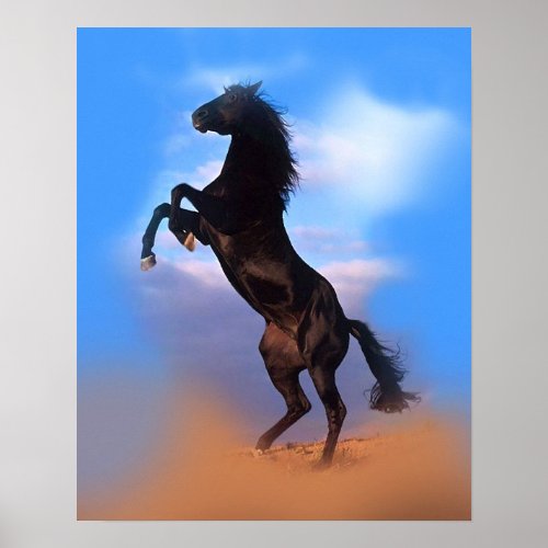 Colorful Rearing Black Horse Blue Sky Poster