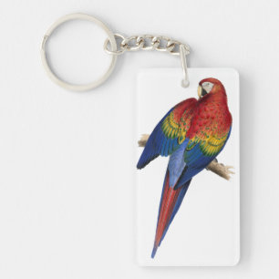 Colorful Red and Yellow Macaw Keychain