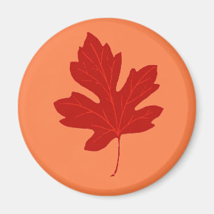 Colorful Red Autumn Leaf Magnet
