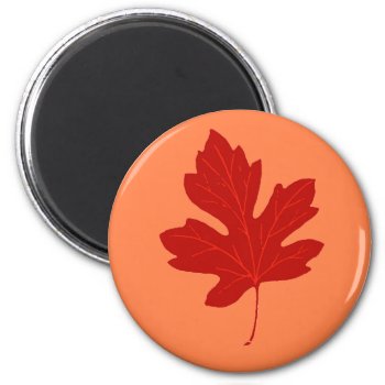 Colorful Red Autumn Leaf Magnet by ForEverProud at Zazzle