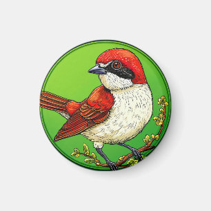 Colorful Red backed shrike Bird Magnet
