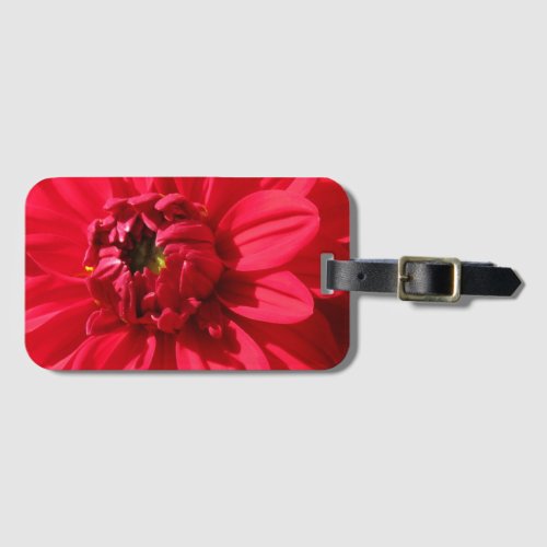 Colorful Red Dahlia Flower Detail Luggage Tag