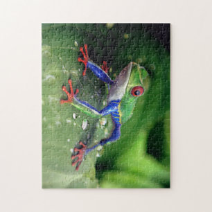 Colorful Red Eye Tree Frog on Plant Leaves Jigsaw Puzzle