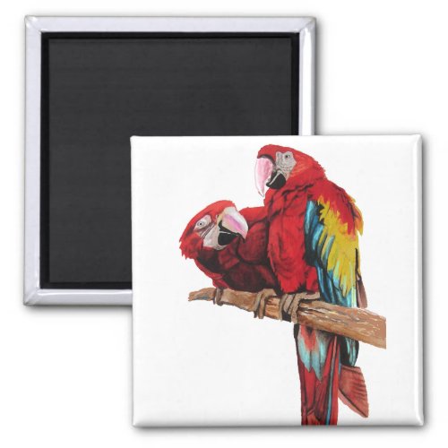 Colorful Red Macaw Watercolor Painting Design Magnet