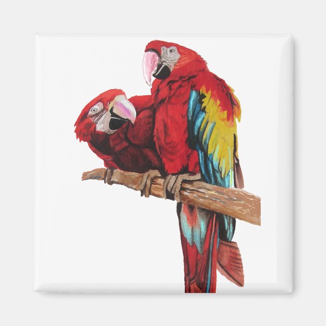 Colorful Red Macaw Watercolor Painting Design Magnet (Front)