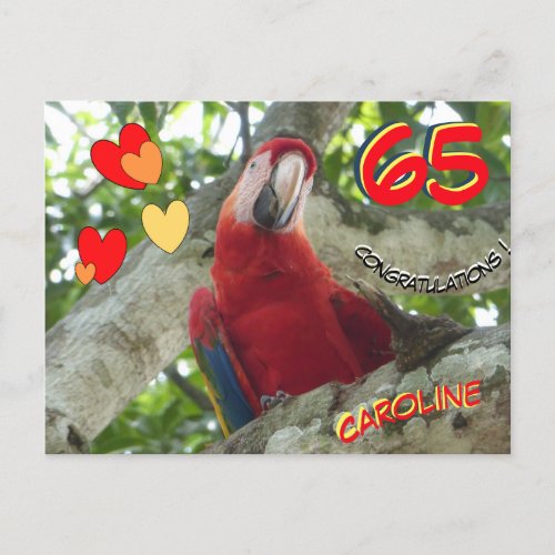 Colorful Red Parrot 65 th Birthday Postcard