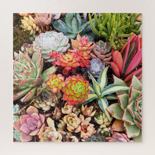 Colorful Red Succulent MixPuzzle Jigsaw Puzzle (Vertical)