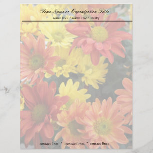 colorful red, yellow and orange daisy flowers letterhead