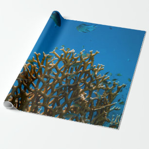 Colorful reefs wrapping paper