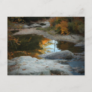 Colorful Reflection Postcard